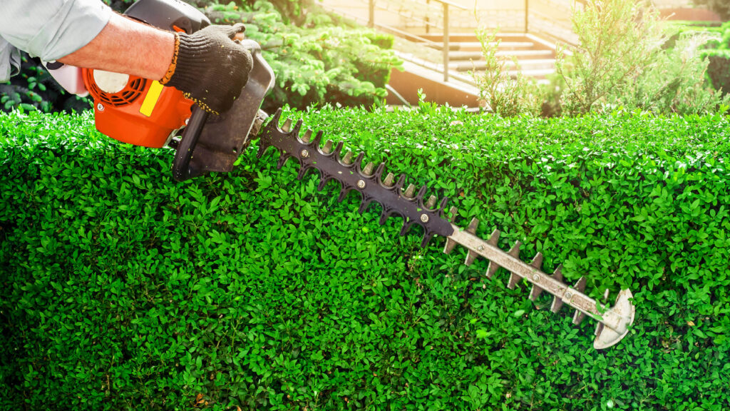 Discover how Regular Hedge Care enhances Huddersfield homes with expert tips, benefits, and professional services. Transform your garden today!